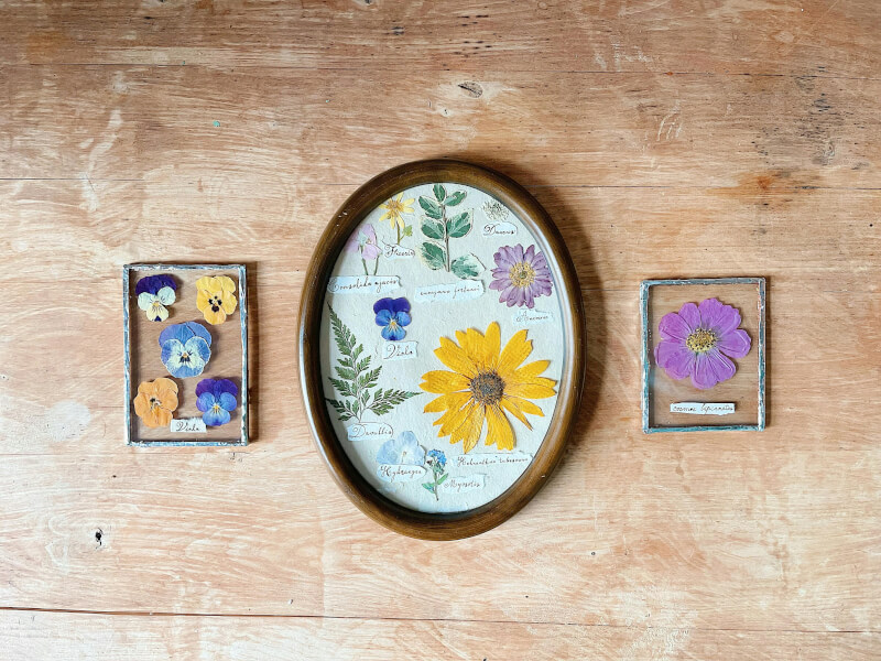 Pressed flowers in glass and wooden frames